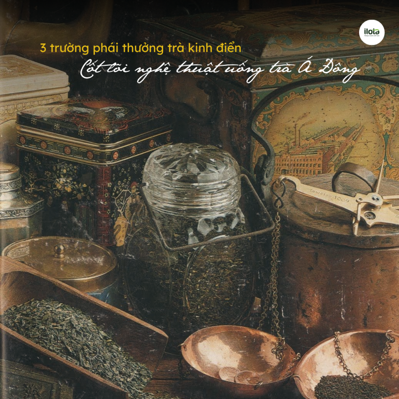 ba-truong-phai-thuong-tra-kinh-dien