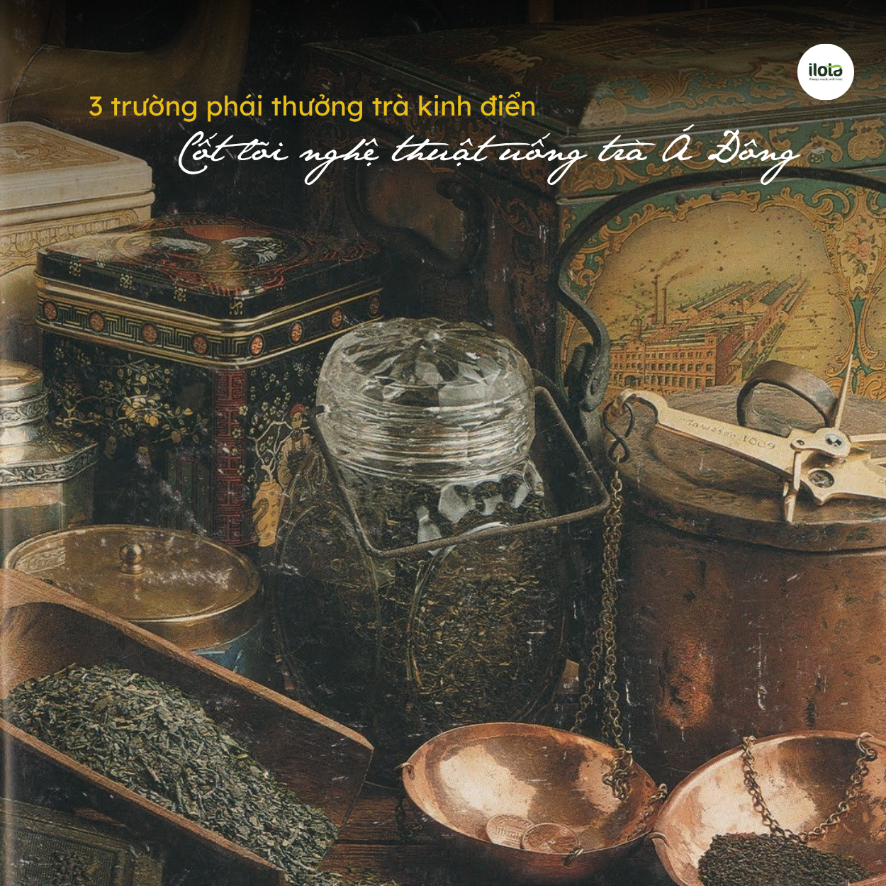 ba-truong-phai-thuong-tra-kinh-dien