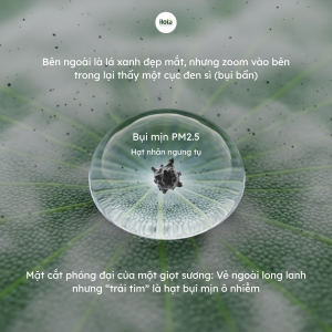 chon-nuoc-pha-tra-the-nao-de-co-am-tra-ngon