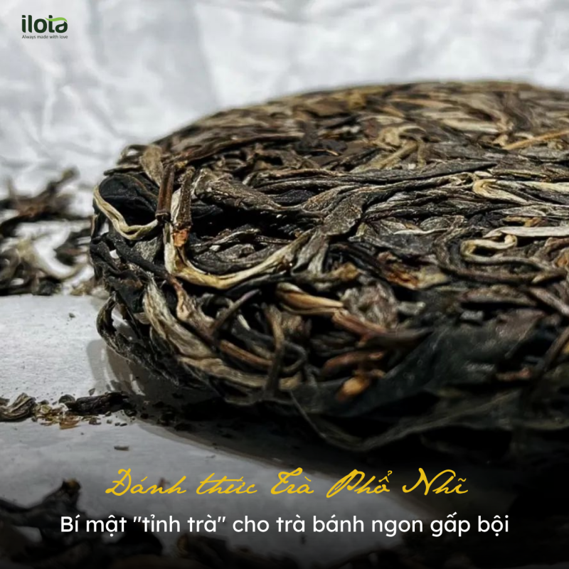 danh-thuc-tra-bi-mat-tinh-tra-cho-tra-banh-ngon