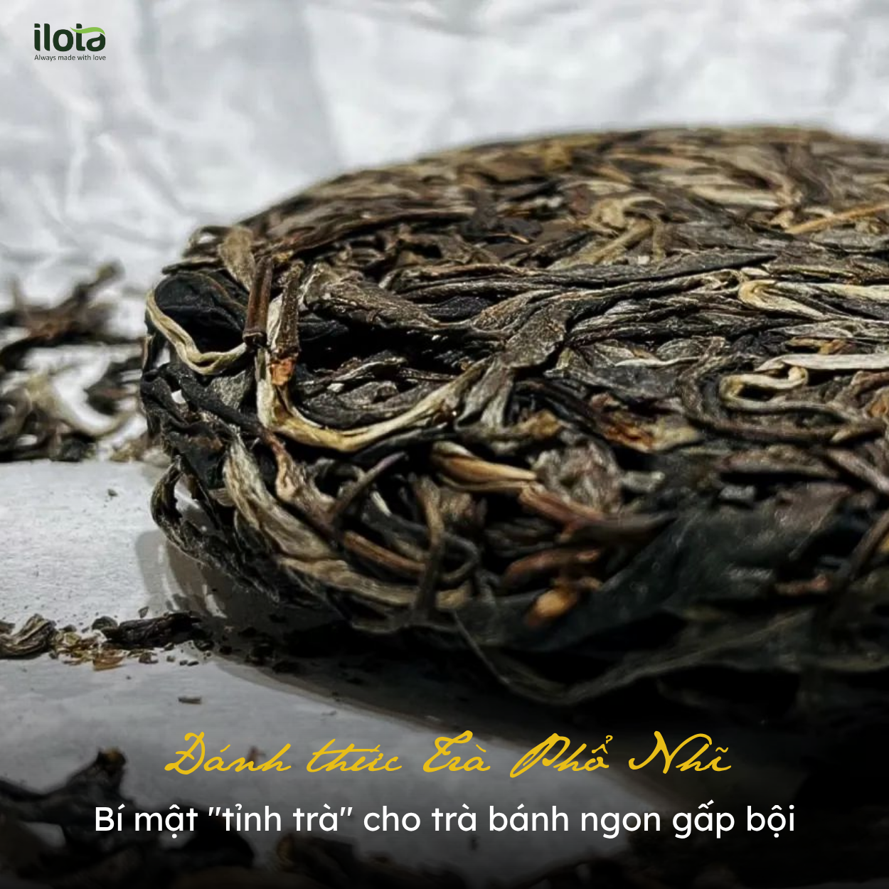 danh-thuc-tra-bi-mat-tinh-tra-cho-tra-banh-ngon