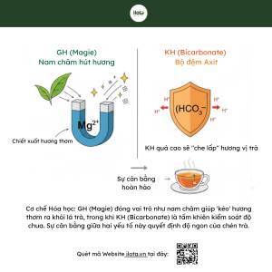 cach-de-co-nuoc-tieu-chuan-khi-pha-tra-ro-tai-khoang