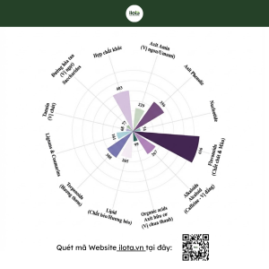 vi-cua-tra-heo-bang-led-anh-sang-lap-trinh-vi-oolong