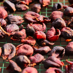 cascara-tai-sinh-vo-qua-va-thit-qua-thanh-thuc-uong