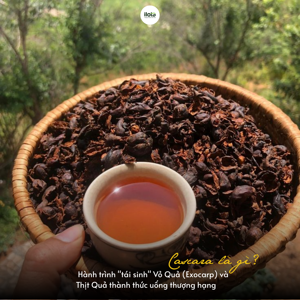 cascara-tai-sinh-vo-qua-va-thit-qua-thanh-thuc-uong