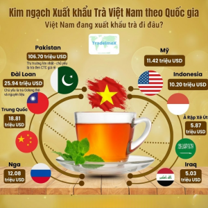 tuong-lai-matcha-viet-nam-vuon-tam-nhu-ca-phe