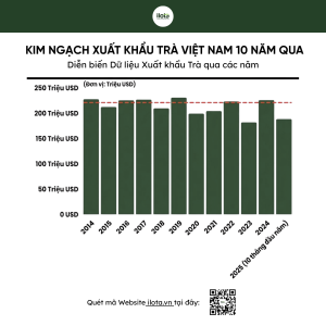 tuong-lai-matcha-viet-nam-vuon-tam-nhu-ca-phe