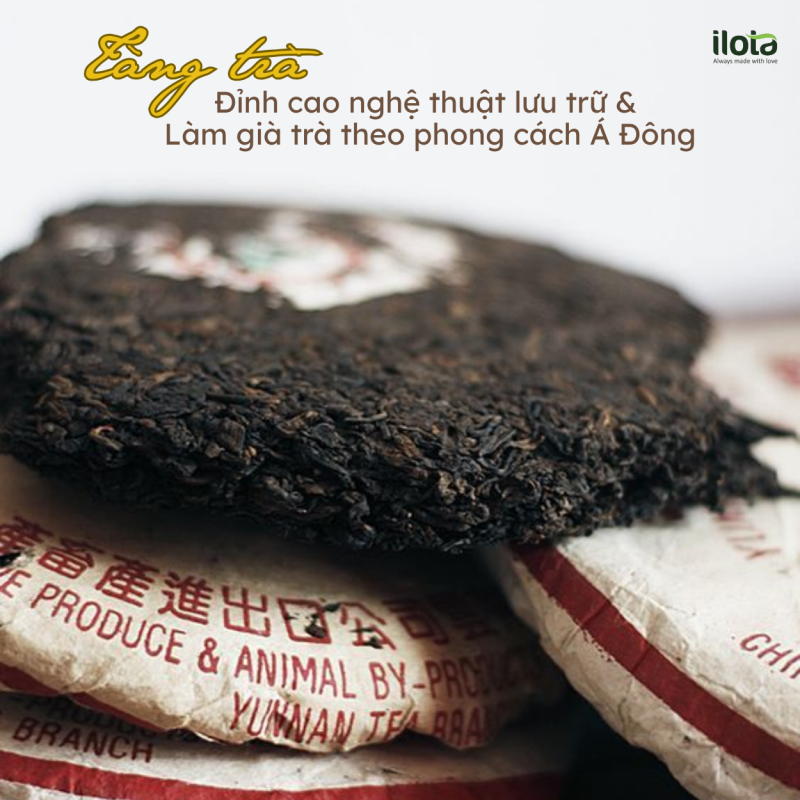 tang-tra-dinh-cao-nghe-thuat-luu-tru-tra