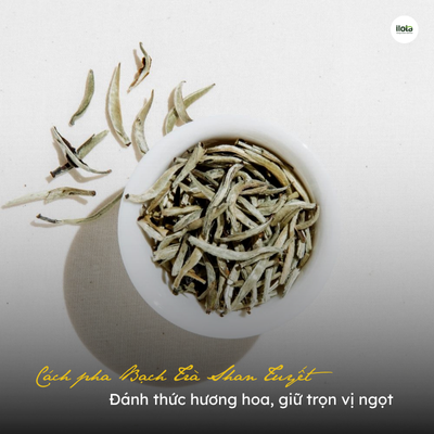 cach-pha-bach-tra-shan-tuyet