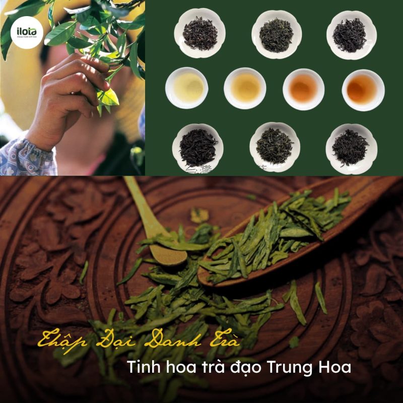thap-dai-danh-tra-tinh-hoa-tra-dao-trung-hoa