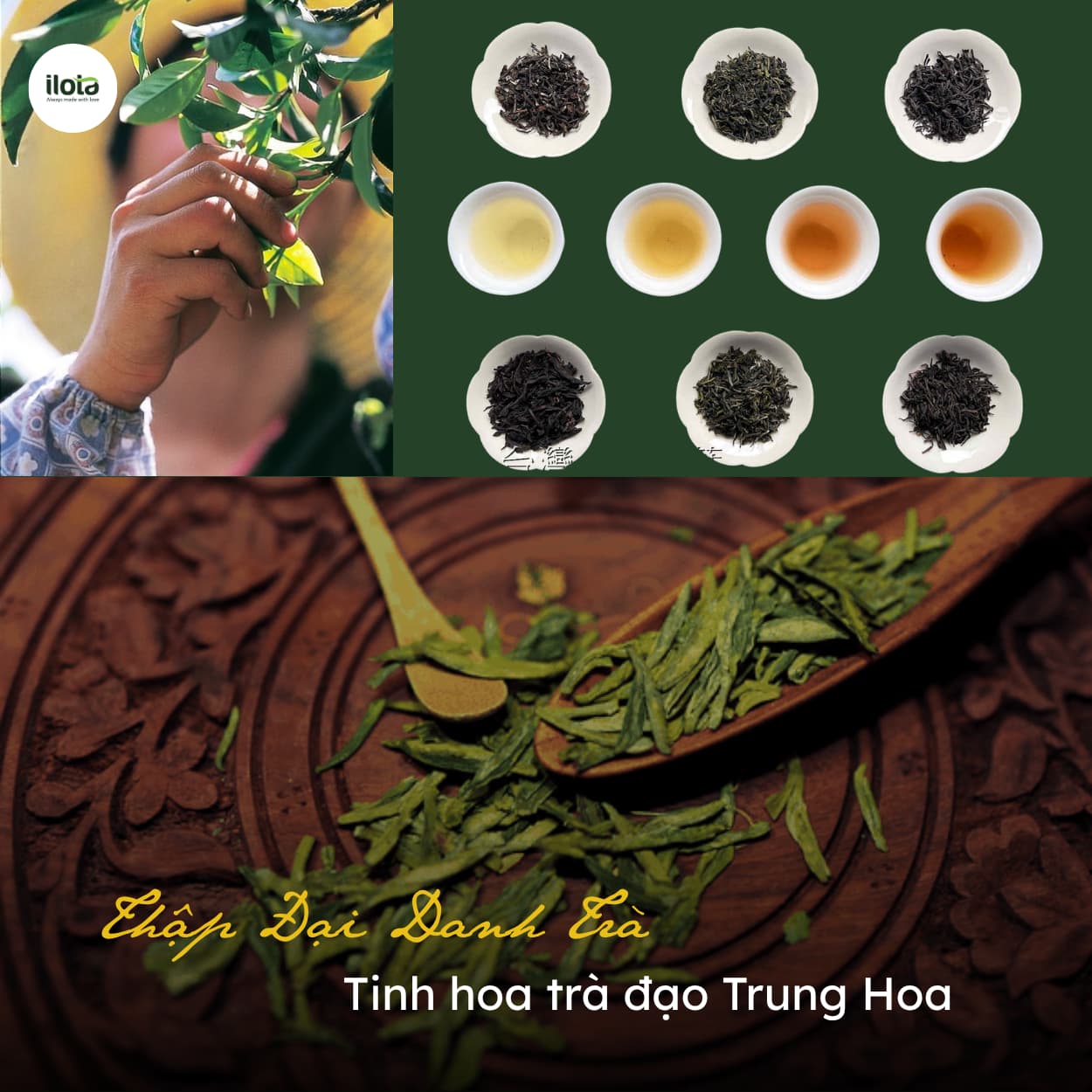 thap-dai-danh-tra-tinh-hoa-tra-dao-trung-hoa