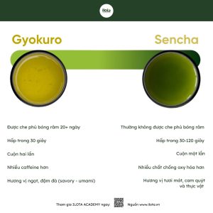 gyokuro-hat-ngoc-suong-tra-xanh-nghe-thuat-phu-bong