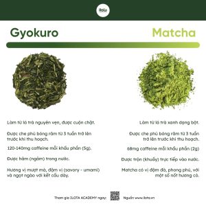 gyokuro-hat-ngoc-suong-tra-xanh-nghe-thuat-phu-bong