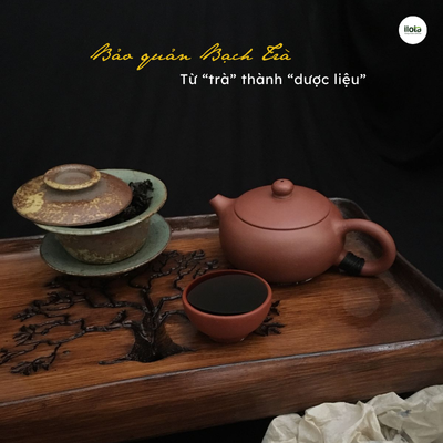 bao-quan-bach-tra-shan-tuyet