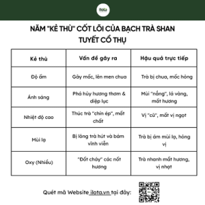 bao-quan-bach-tra-shan-tuyet