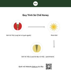 cau-tao-qua-ca-phe-6-lop-vo-hat-endosperm