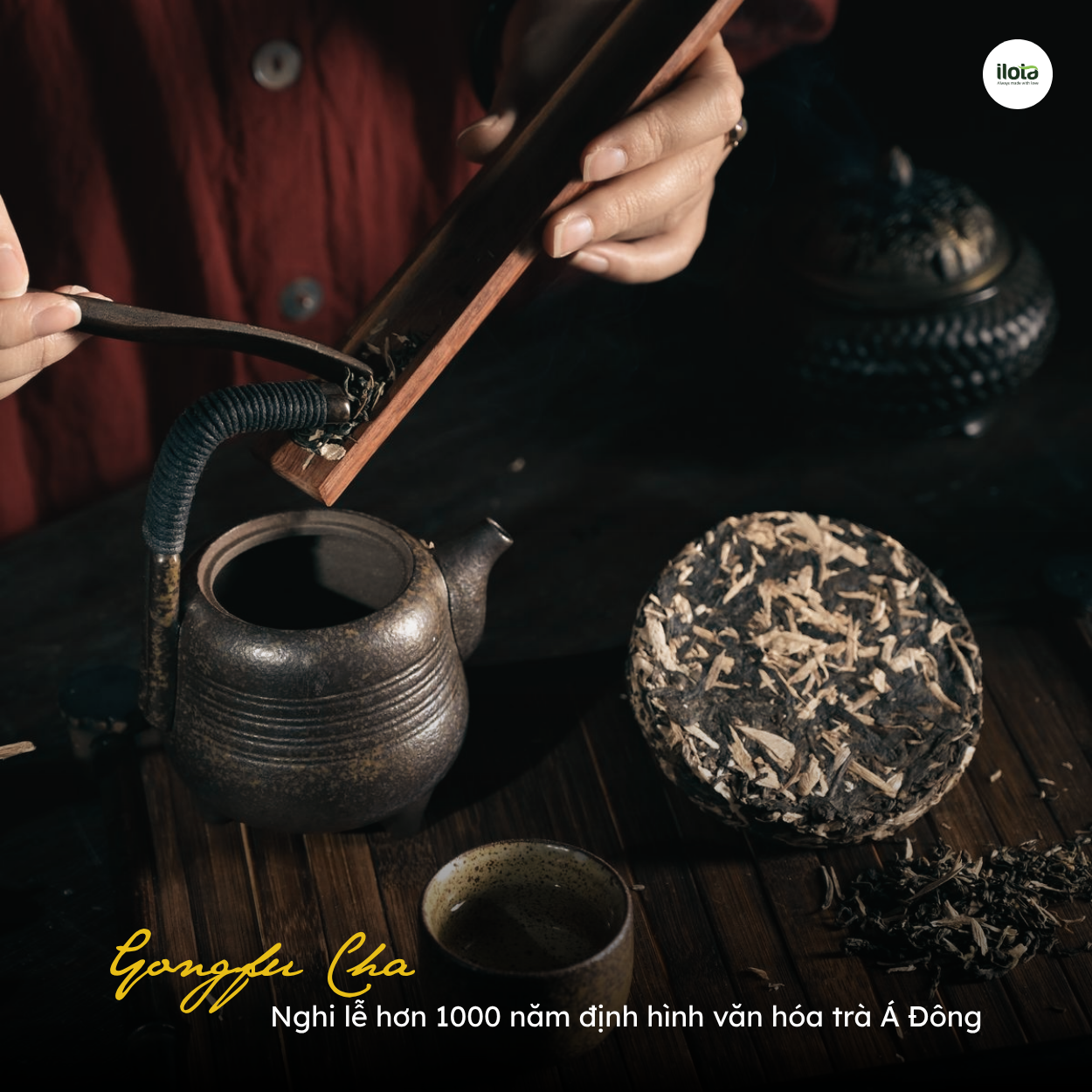 Gongfu Cha (Trà Công Phu) - Nghi lễ hơn 1000 năm định hình văn hóa trà Á Đông