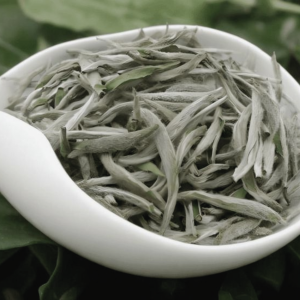 bach-tra-mau-don-shan-tuyet-co-thu-hoang-hau-tra