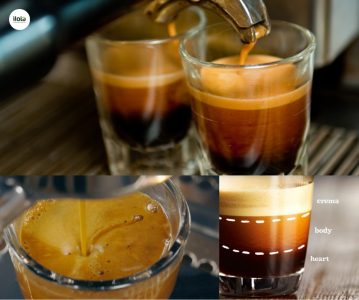 lop-crema-ca-phe-7-su-that-khoa-hoc