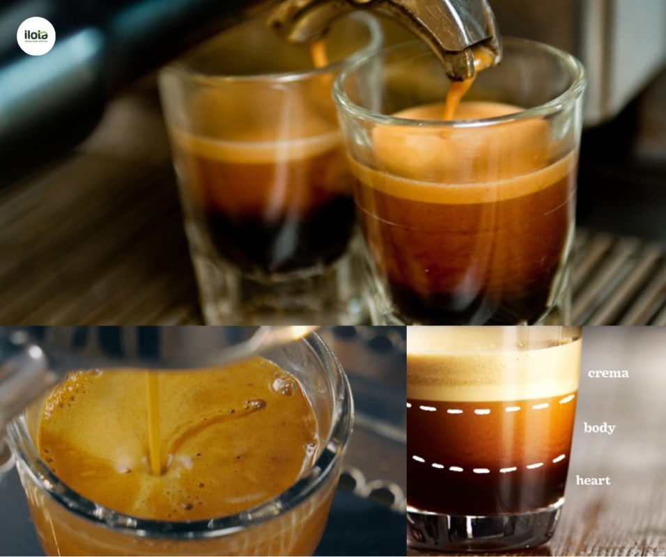 cach-chon-hat-ca-phe-cho-crema-day