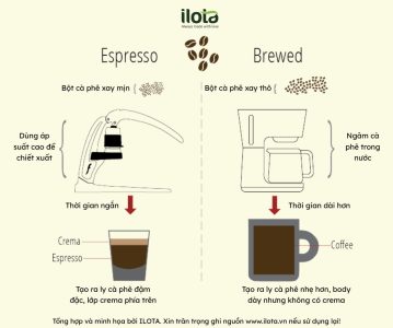 lop-crema-ca-phe-7-su-that-khoa-hoc