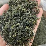 luc-tra-shan-tuyet-pha-che