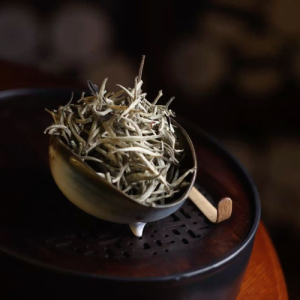 bach-tra-shan-tuyet-co-