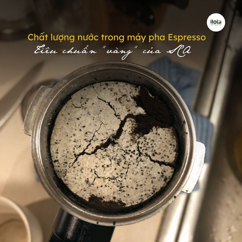 chat-luong-nuoc-trong-may-pha-espresso