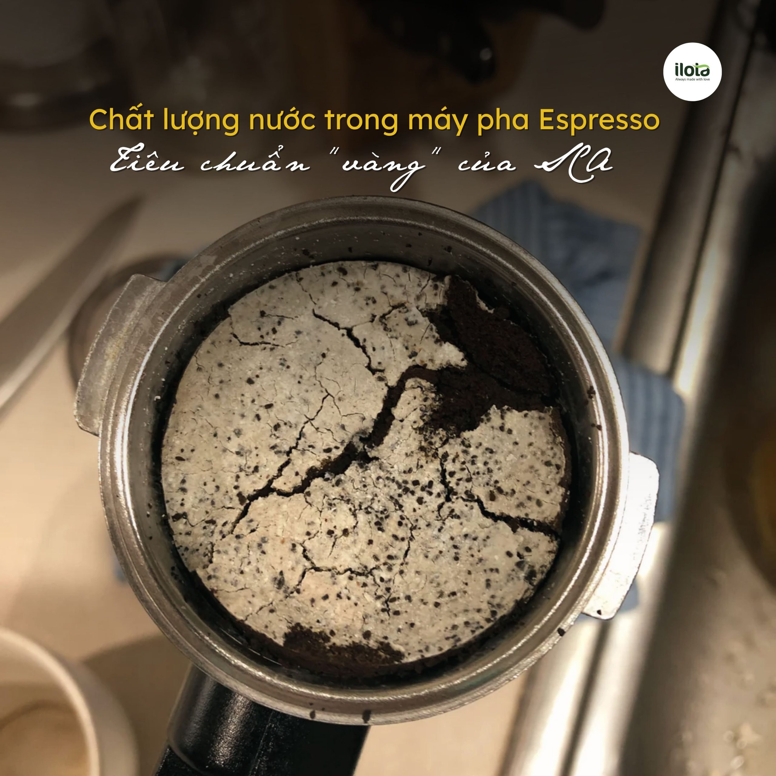 chat-luong-nuoc-trong-may-pha-espresso