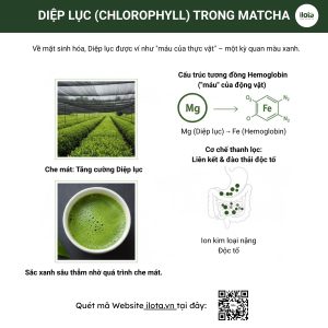 tac-dung-cua-matcha