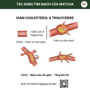 tac-dung-cua-matcha