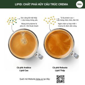 lop-crema