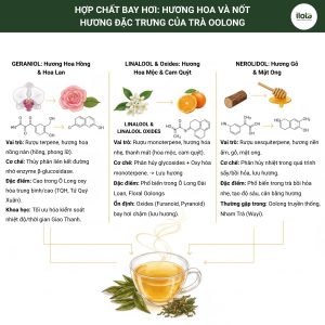 huong-thom-tra-oolong