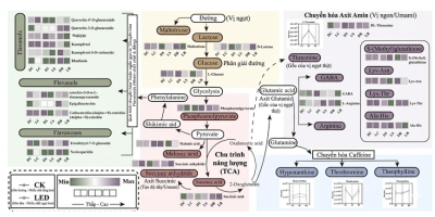 vi-cua-tra-heo-bang-led-anh-sang-lap-trinh-vi-oolong