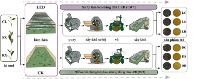 vi-cua-tra-heo-bang-led-anh-sang-lap-trinh-vi-oolong