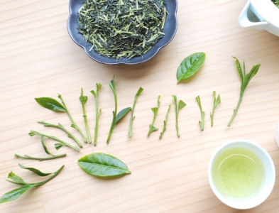 kukicha-tra-canh-nguoi-nhat-bien-phe-pham-ra-dac-san