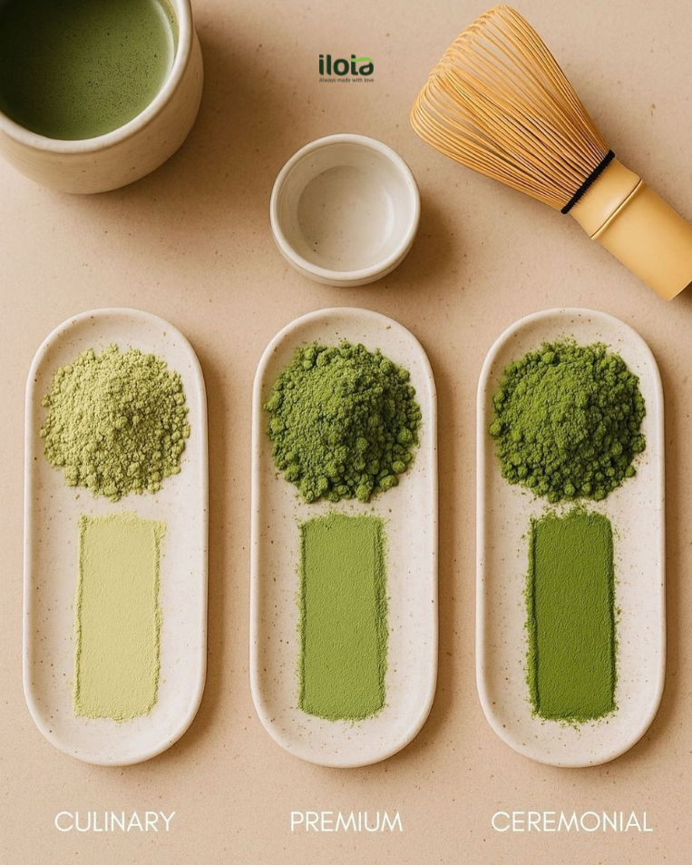 phan-cap-matcha-ceremonial-premium-culinary-khac-gi