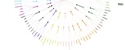 vong-tron-huong-vi-canephora-robusta-2025