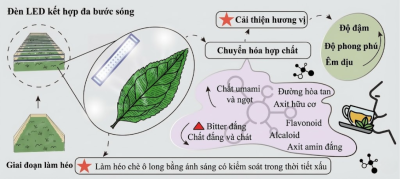 vi-cua-tra-heo-bang-led-anh-sang-lap-trinh-vi-oolong