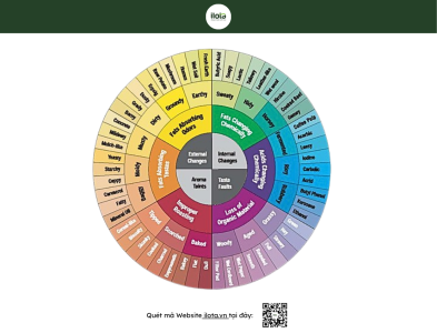 vong-tron-loi-ca-phe-coffee-taints-faults-wheel-giai-ma-khoa-hoc-mat-toi-cua-huong-vi