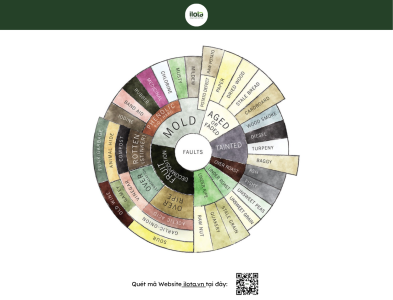 vong-tron-loi-ca-phe-coffee-taints-faults-wheel-giai-ma-khoa-hoc-mat-toi-cua-huong-vi