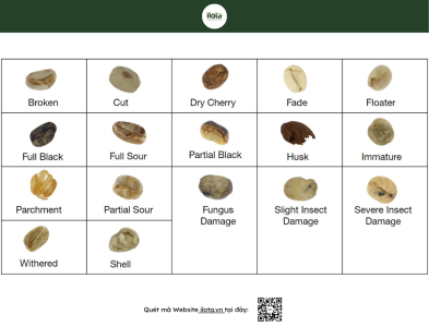 so-tay-khiem-khuyet-ca-phe-sca-coffee-defects