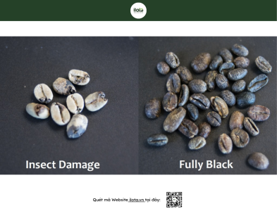 so-tay-khiem-khuyet-ca-phe-sca-coffee-defects