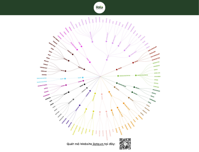 vong-tron-huong-vi-canephora-robusta-2025