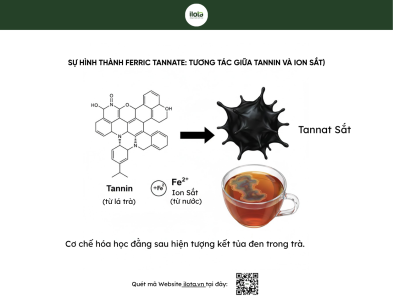 chon-nuoc-pha-tra-the-nao-de-co-am-tra-ngon