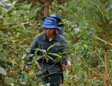 quy-dinh-eudr-la-gi-tieu-chuan-ca-phe-sach