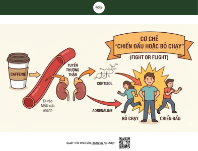 de-stress-mot-ly-focus-shot-matcha-tot-hon-ca-phe