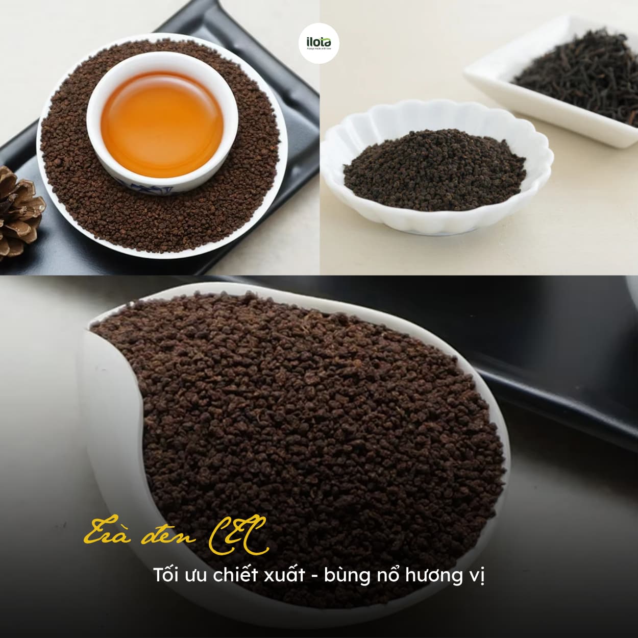 tra-ctc-toi-uu-chiet-xuat-bung-no-huong-vi