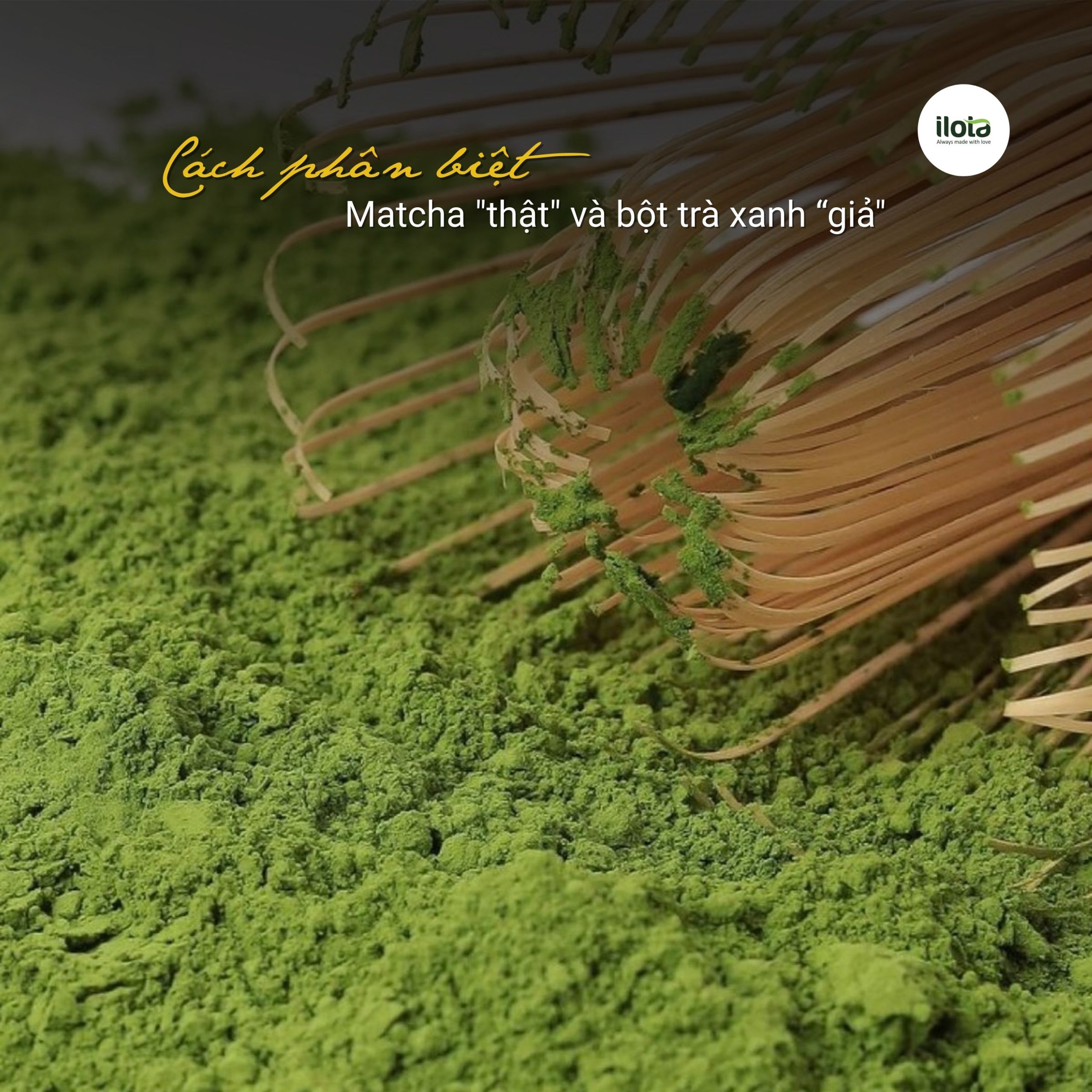 cach-phan-biet-matcha