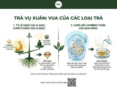 tra-vu-xuan